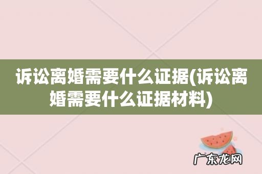 诉讼离婚需要什么证据材料 诉讼离婚需要什么证据