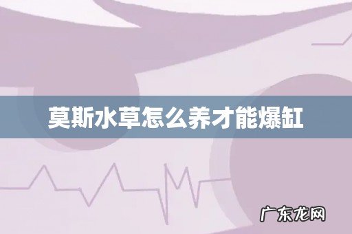 莫斯水草怎么养才能爆缸