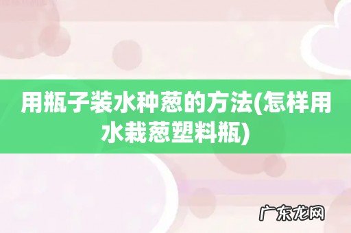 怎样用水栽葱塑料瓶 用瓶子装水种葱的方法