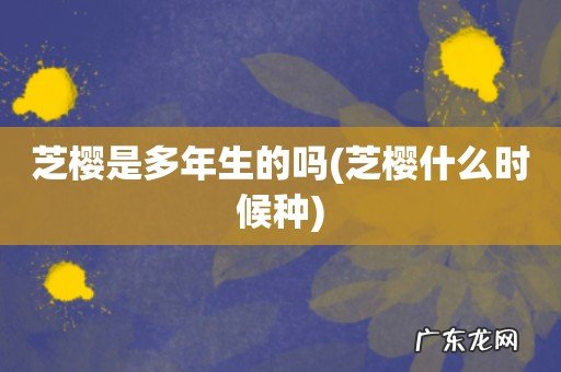 芝樱什么时候种 芝樱是多年生的吗