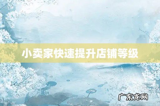 小卖家快速提升店铺等级