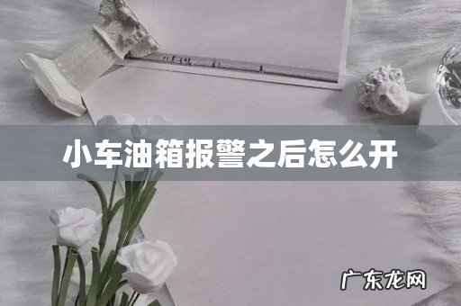 小车油箱报警之后怎么开