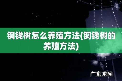 铜钱树的养殖方法 铜钱树怎么养殖方法