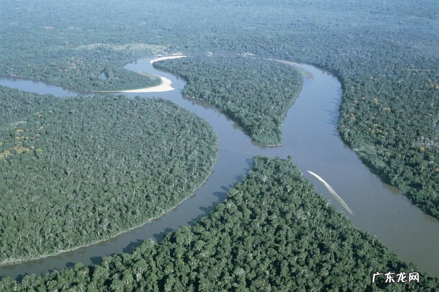 世界蛇王奥斯汀·斯蒂文斯？