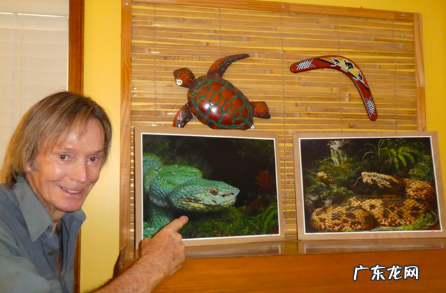 世界蛇王奥斯汀·斯蒂文斯？