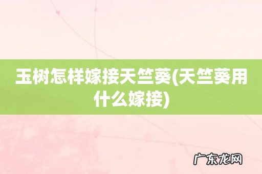 天竺葵用什么嫁接 玉树怎样嫁接天竺葵