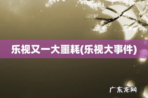 乐视大事件 乐视又一大噩耗