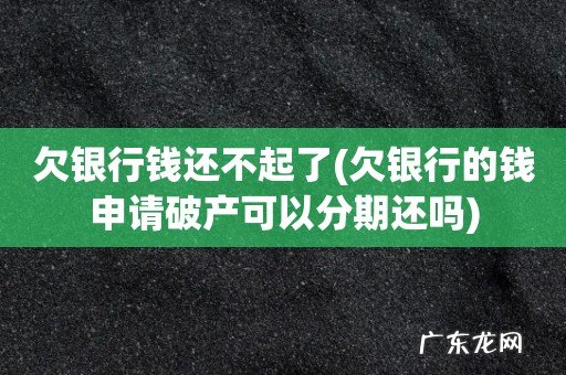 欠银行的钱申请破产可以分期还吗 欠银行钱还不起了