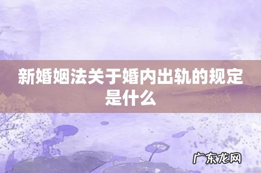 新婚姻法关于婚内出轨的规定是什么