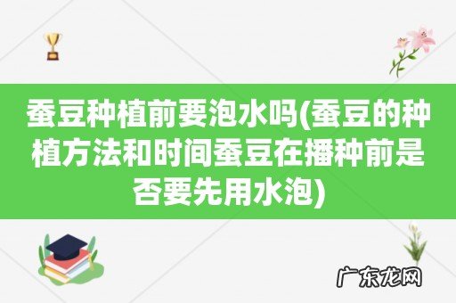 蚕豆的种植方法和时间蚕豆在播种前是否要先用水泡 蚕豆种植前要泡水吗