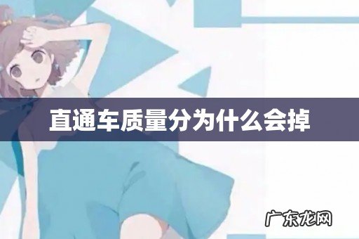 直通车质量分为什么会掉