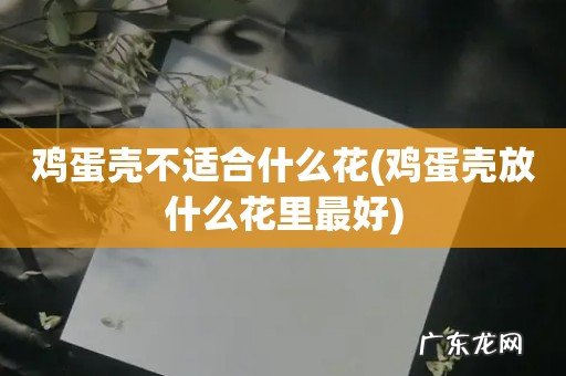 鸡蛋壳放什么花里最好 鸡蛋壳不适合什么花