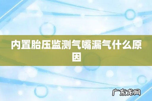 内置胎压监测气嘴漏气什么原因
