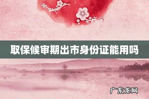 取保候审期出市身份证能用吗