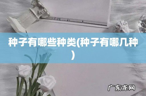 种子有哪几种 种子有哪些种类