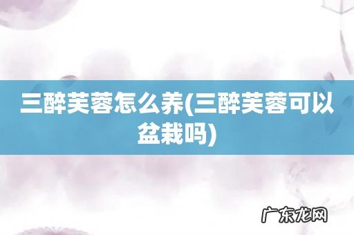 三醉芙蓉可以盆栽吗 三醉芙蓉怎么养