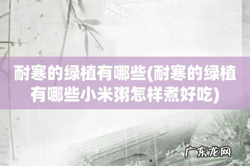 耐寒的绿植有哪些小米粥怎样煮好吃 耐寒的绿植有哪些