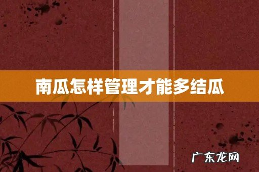 南瓜怎样管理才能多结瓜