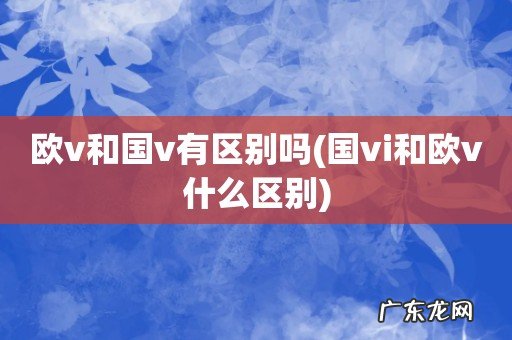 国vi和欧v什么区别 欧v和国v有区别吗