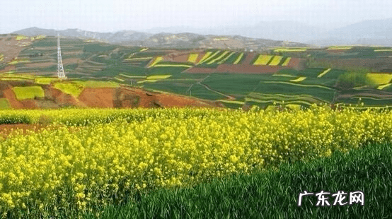 白鹿原地里有水为什么是好地 白鹿原 风水