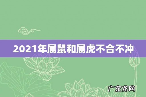 2021年属鼠和属虎不合不冲