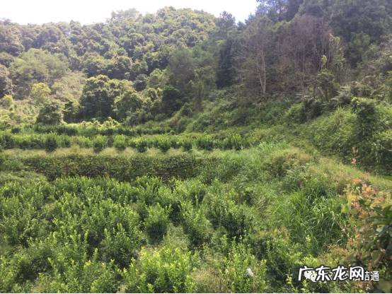 厂房位置与风水 厂房建筑风水