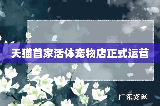 天猫首家活体宠物店正式运营