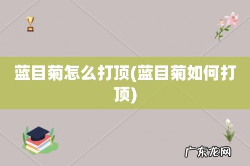 蓝目菊如何打顶 蓝目菊怎么打顶