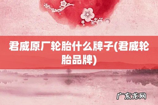 君威轮胎品牌 君威原厂轮胎什么牌子