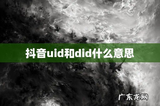 抖音uid和did什么意思