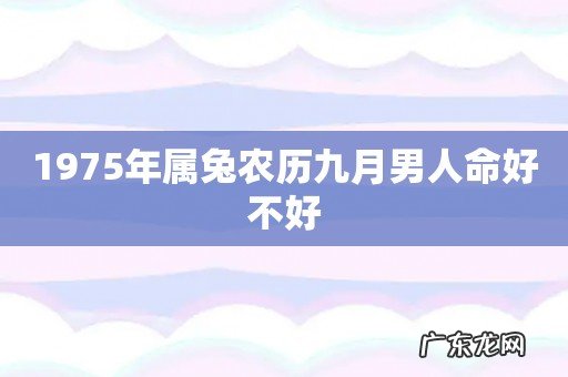 1975年属兔农历九月男人命好不好