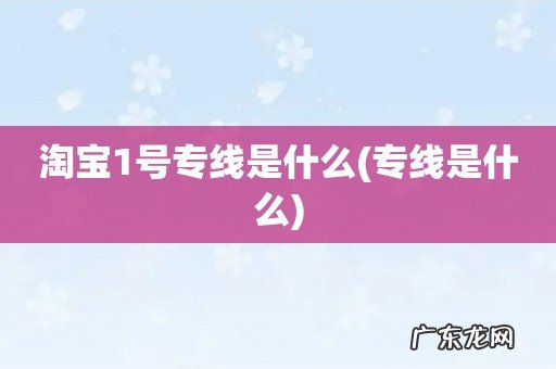 专线是什么 淘宝1号专线是什么