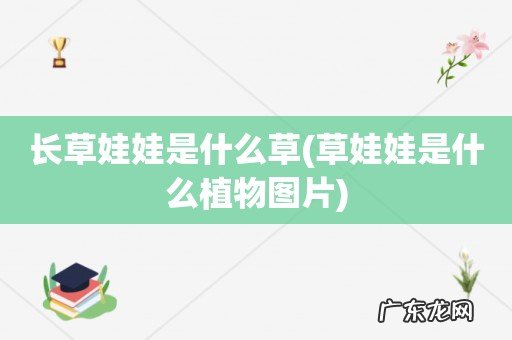 草娃娃是什么植物图片 长草娃娃是什么草