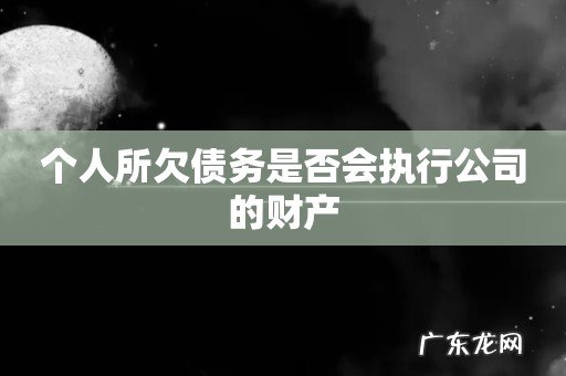 个人所欠债务是否会执行公司的财产