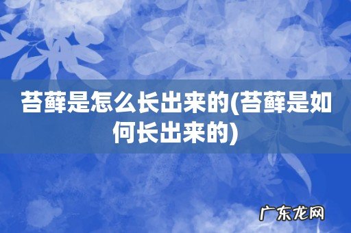 苔藓是如何长出来的 苔藓是怎么长出来的