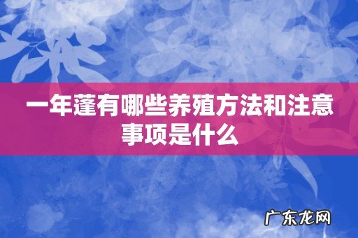 一年蓬有哪些养殖方法和注意事项是什么