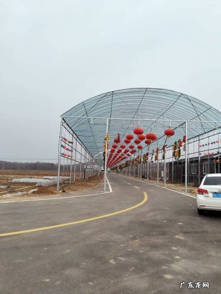 摆件蟾蜍含钱和不含钱的摆放 风水蟾蜍倒挂