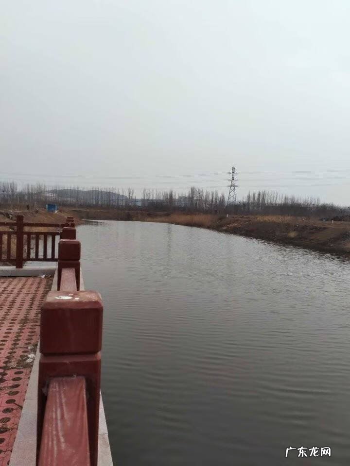 摆件蟾蜍含钱和不含钱的摆放 风水蟾蜍倒挂