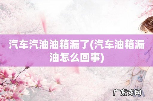 汽车油箱漏油怎么回事 汽车汽油油箱漏了