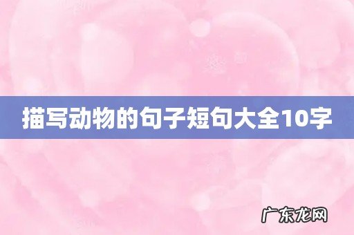 描写动物的句子短句大全10字
