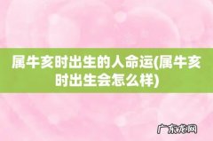 属牛亥时出生会怎么样 属牛亥时出生的人命运