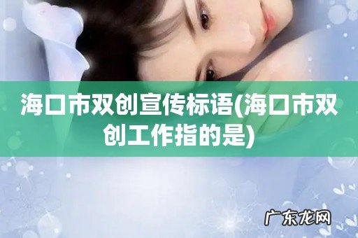 海口市双创工作指的是 海口市双创宣传标语