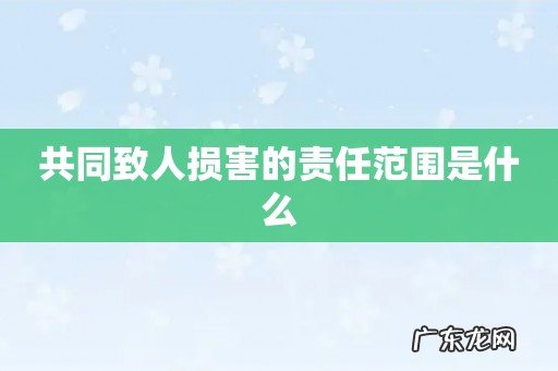 共同致人损害的责任范围是什么