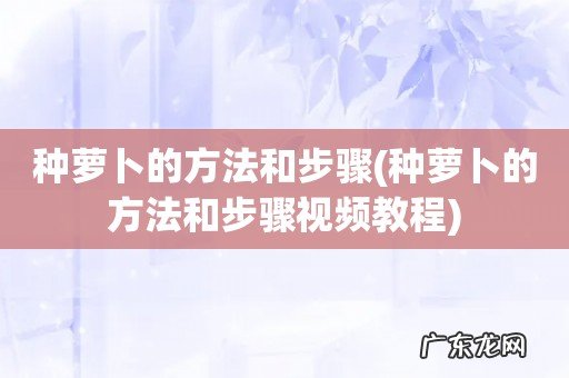 种萝卜的方法和步骤视频教程 种萝卜的方法和步骤