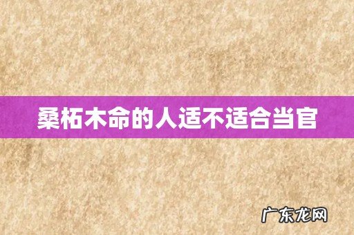 桑柘木命的人适不适合当官