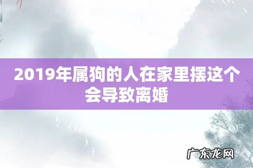 2019年属狗的人在家里摆这个会导致离婚