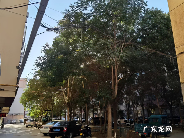 临河风水大师 临河风水说法