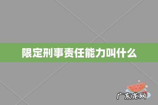 限定刑事责任能力叫什么