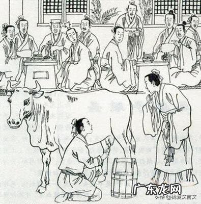 牛乳是什么味道 牛乳是什么意思