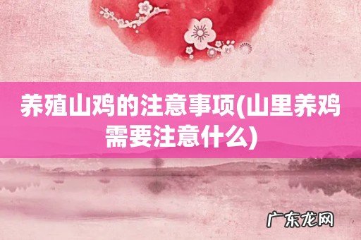 山里养鸡需要注意什么 养殖山鸡的注意事项